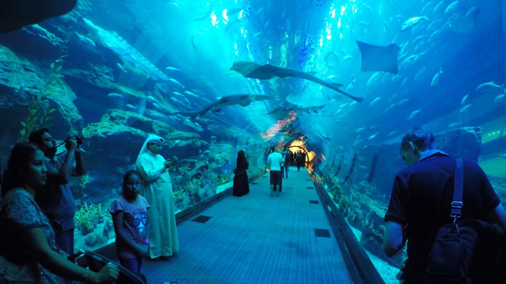 Under Water Zoo