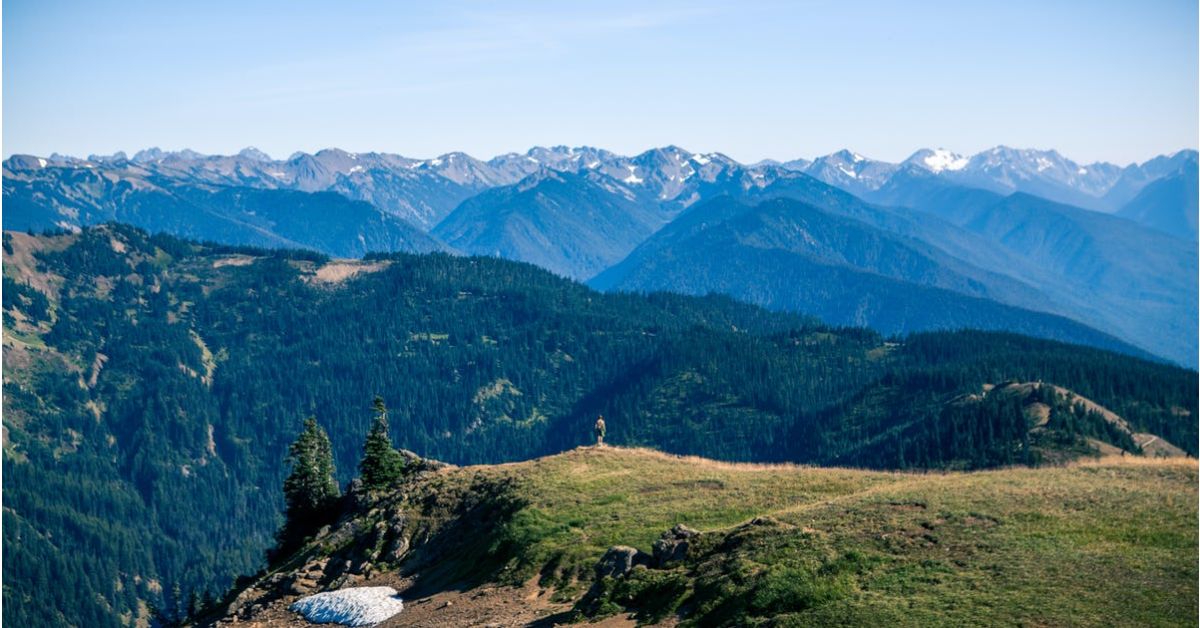 Hurricane Hill Hurricane Ridge Webcam