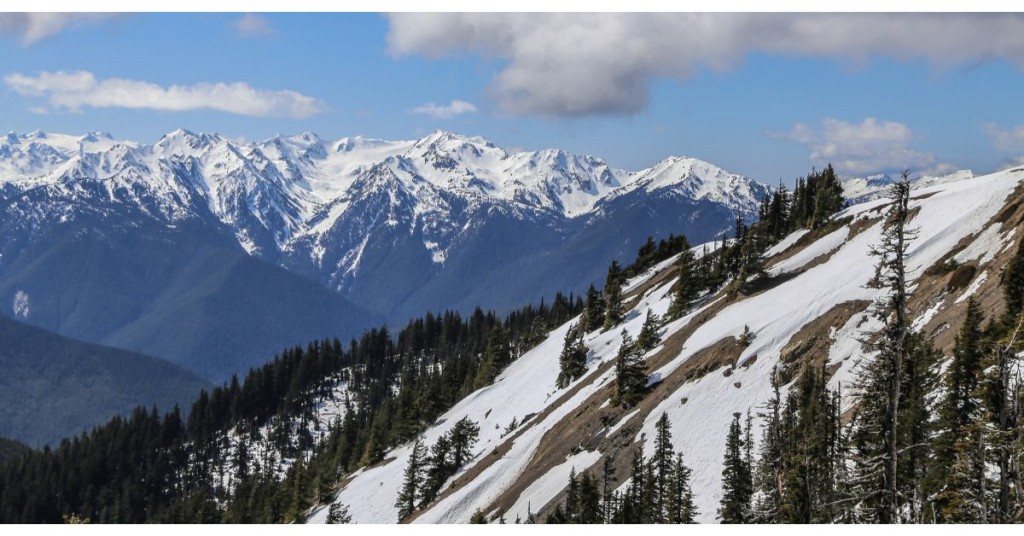 Hurricane Ridge Camera Glimpse of the Majestic Mountains with Hurricane Ridge Webcam