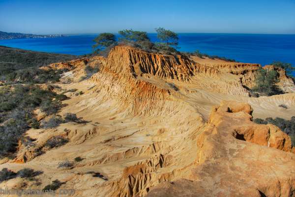 HIKE TORREY PINES STATE NATURAL RESERVE