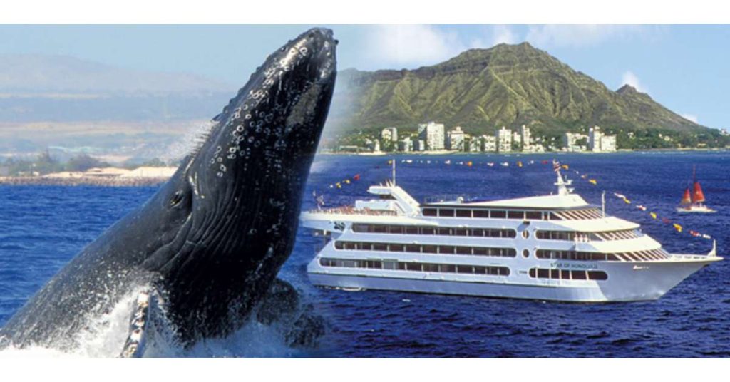 whale tour oahu