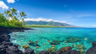 Things to do in kona hawaii