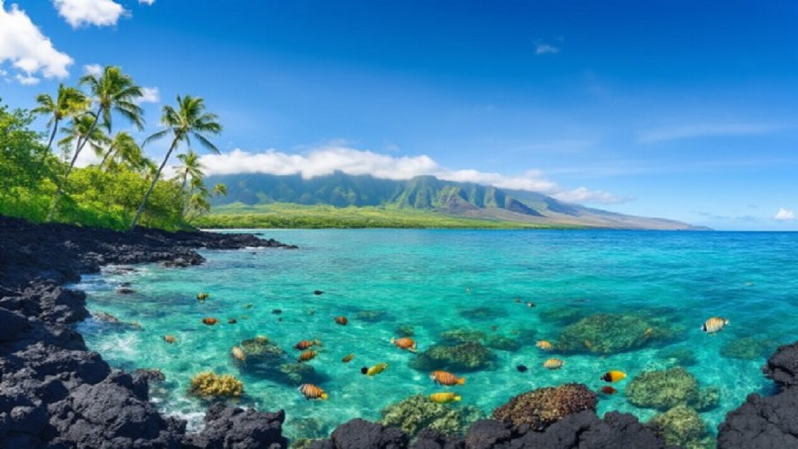 Things to do in kona hawaii