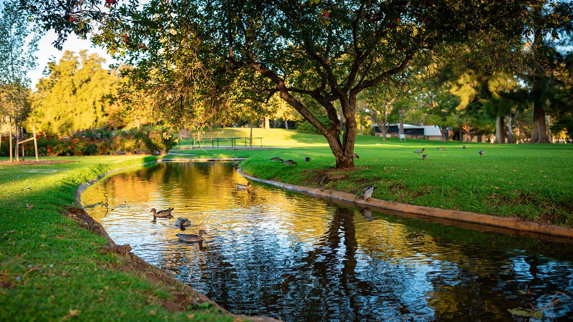 Al Nahda Pond Park