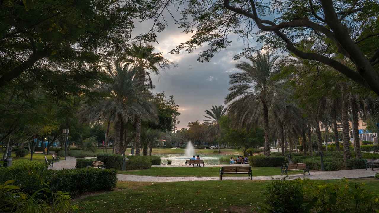 Peaceful Dubai park