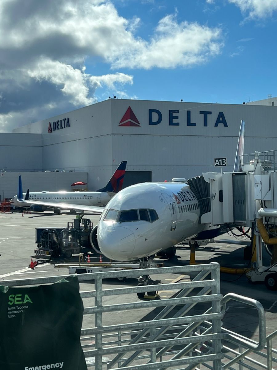 Delta DL39 Return to LAX