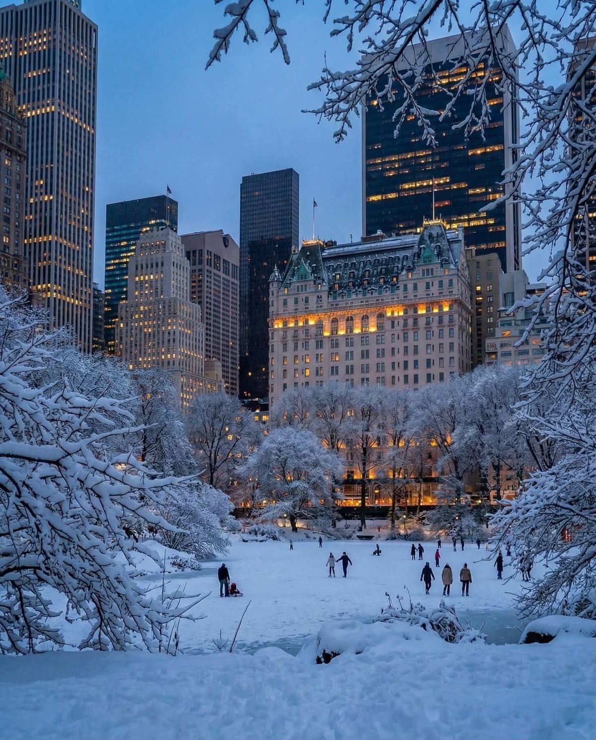 Central Park NYC