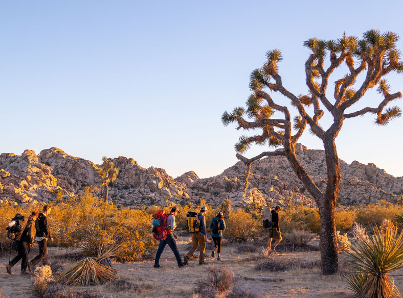 Joshua Tree National Park