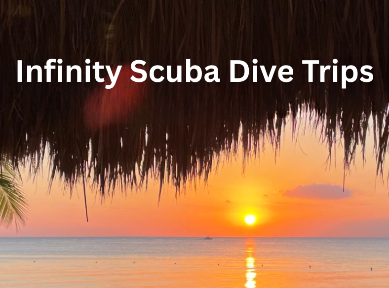 Infinity Scuba Dive Trips