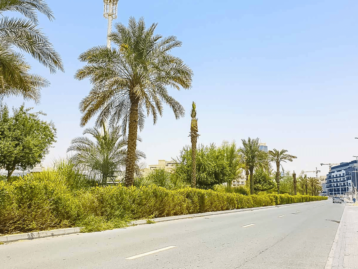 Jumeirah Village Circle